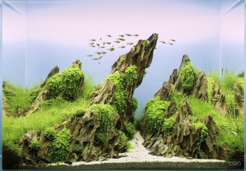 Dragon stone 8-15cm - aquarium decoratie stenen