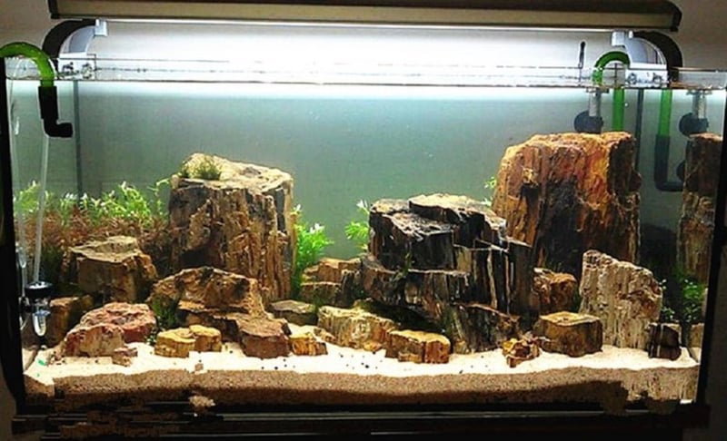Petrified stone aquarium decoratie stenen Aquascape stenen | Aquael