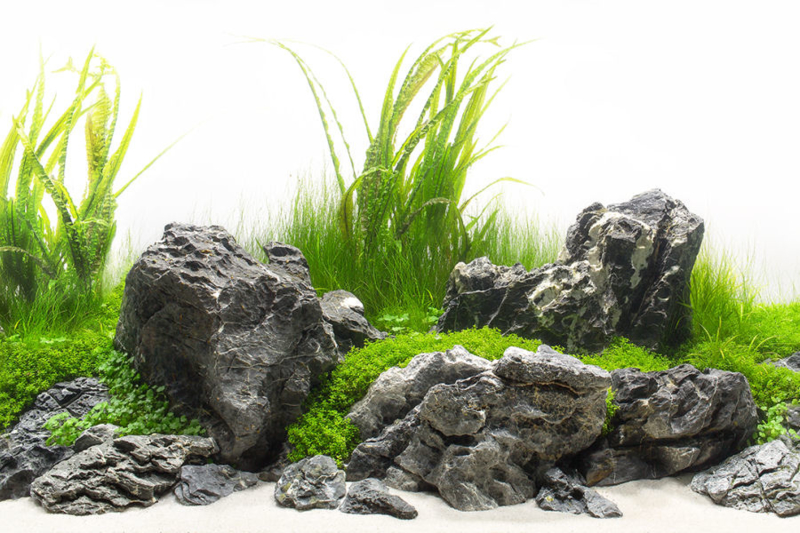 Grey Luo Hanshi 10-15cm - aquarium decoratie stenen | Aquascape stenen Aquael Shop
