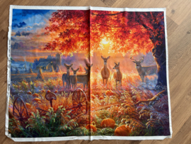 Through The Forest Light panel 35 inch x 44 inch