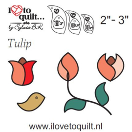 Tulip