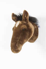 Paard Scarlett