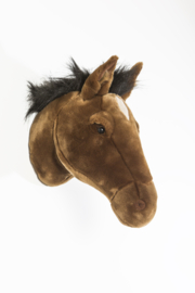 Paard Scarlett