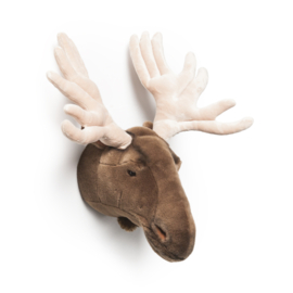 Eland Alfred