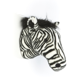 Zebra Daniel