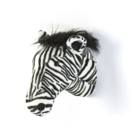 Zebra Daniel