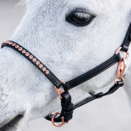 HARRY'S HORSE Pony/Veulenhalster leder Crystal Zwart/Rosegold