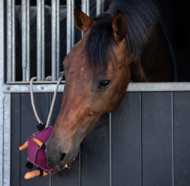 Balle de jeu pour chevaux Rose