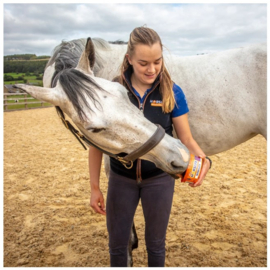 Horslyx mini mobility