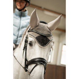 BR Oornetje Jinte Moon Rock