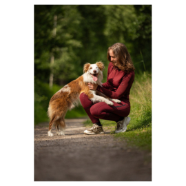 Chemise zippée manches longues BR CLX Cabernet