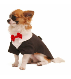 Ruff Ruff Tux smoking POOCH OUTFITTERS