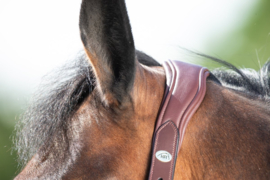 Licol Cuir HFI Wave Marron