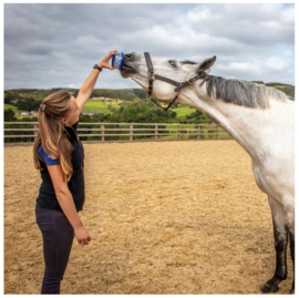 Horselyx mini original