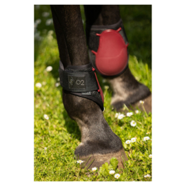 BR CLX XO2 strijklappen Cabernet