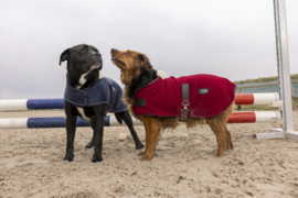 Couverture polaire pour chien DIEGO&LOUNA Teddy Bordeaux