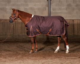 HARRY'S HORSE 200g Outdoordeken Thor Bracken
