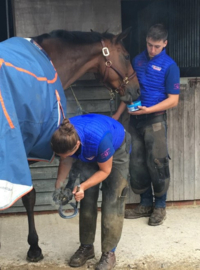 Horslyx mini mobility