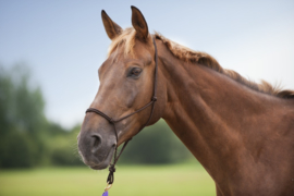 NORTON Zacht, ethologisch halster Bruin