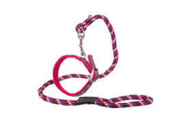 Collier pour chien BR Passion avec corde Cerise