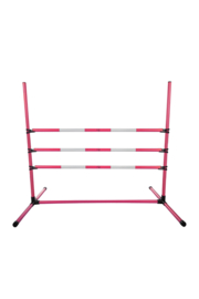 Springset Hobby Horsing Pink