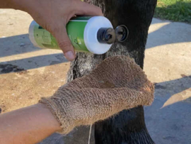 ANIMADERM | Shampooing Tea Tree