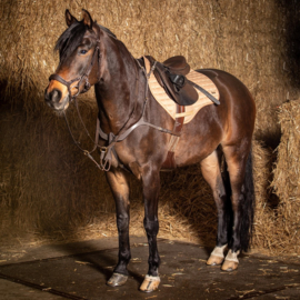 HARRY'S HORSE Zadeldek Oxer Bordeaux