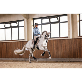 BR Oornetje Jinte Moon Rock