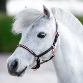 HARRY'S HORSE Pony/Veulenhalster leder Crystal Zwart/Rosegold