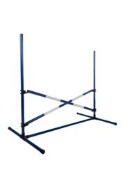 Springset Hobby Horsing Blauw