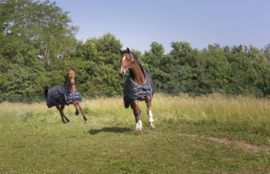 EQUITHÈME Tyrex 1200D 0g paddock deken Grijs/Blauw