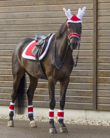Kerstzadeldek