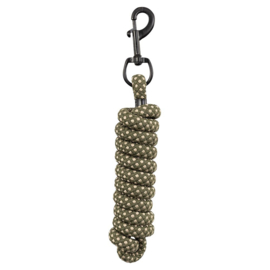 Corde BR Eevolv avec mousqueton Beetle
