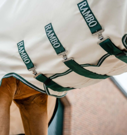 Rambo | Chemise d'été Hoody Chalk/Hunter Green & Silver