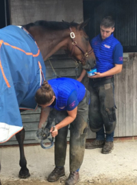 Horslyx mini respiratory