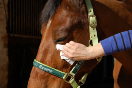 RAVENE Easy Shine Wipes verzorgingsdoekjes