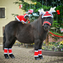 Rendiergewei kerstmuts