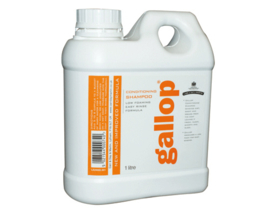 CARR & DAY & MARTIN Shampoo Gallop