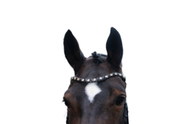 HKM | Bridon Mila anatomique Noir