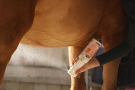 Ravene Easy Shine intense