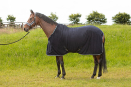 HARRY'S HORSE Coolerdeken Light Weight Corduroy Navy