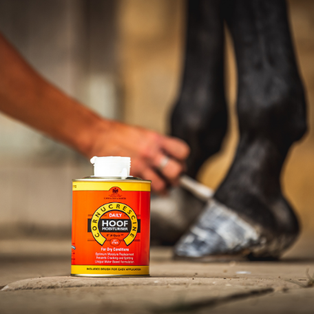 Cornucrescine Daily Hoof Moisturiser