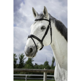Bridon NORTON Pro Soft Noir