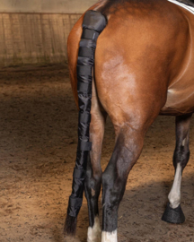 Harry's Horse | Protège-queue long modèle