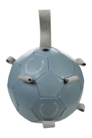 Ballon de jeu pour chevaux Fun Bleu