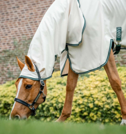 Rambo | Chemise d'été Hoody Chalk/Hunter Green & Silver