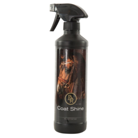 BR Coat shine glansspray