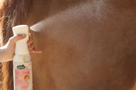 Ravene Easy Shine intense