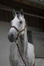 EQUITHÈME Satiné halster met touw zwart/oranje