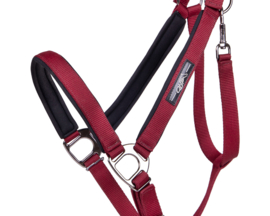 QHP | Licol Deluxe pour cheval de trait Bordeaux